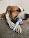 Жувальна іграшка кістка для собак Dog Walking TPR Chew Bone 15 см - бакитна