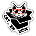 CAT IN BOX
