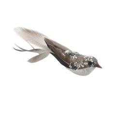 Змінна іграшка - пташка Long-tailed warbler