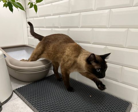 Килимок двошаровий для котячого лотка (туалета) "Кіт у коробці" 67х60 см чорний