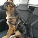 Карабін для собак на пасок безпеки в авто Truelove