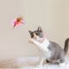 Дразнилка - ошейник для кошек с перьями 20-34 см - розовая