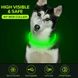 LED USB нашийник для собак і котів круглий L 70 см - білий