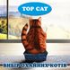 Наповнювач у кошачій лоток (туалет) силікагелевий TOP CAT Premium 3.8 л