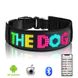 Ошейник для собак и котов с LED экраном Bluetooth Pet LED Collar - цветной